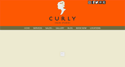 Desktop Screenshot of curlyhairstudio.com